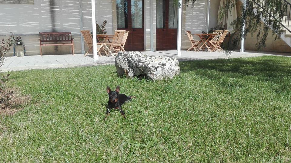 Masseria Sucea マルターノ エクステリア 写真