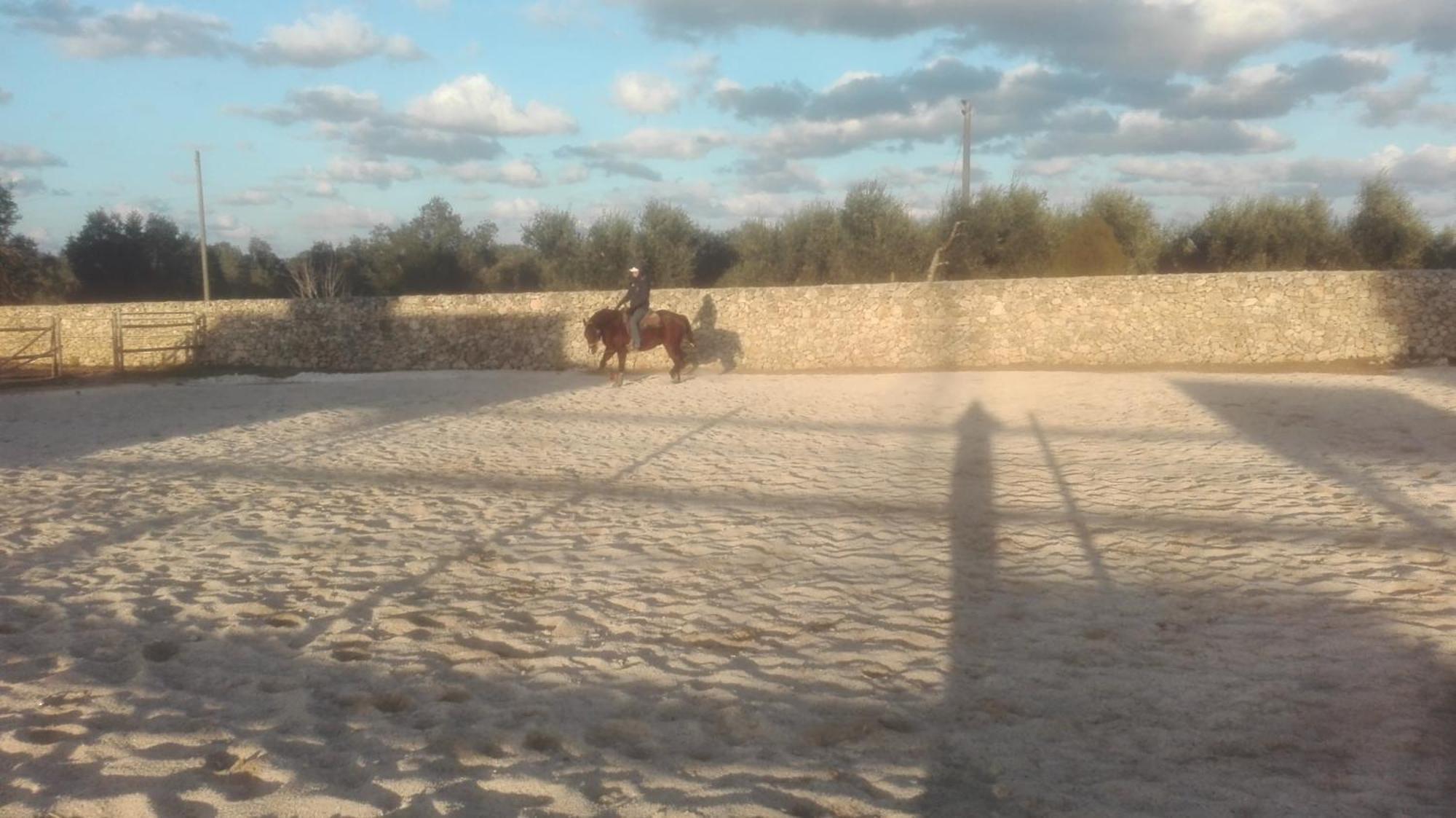 Masseria Sucea マルターノ エクステリア 写真