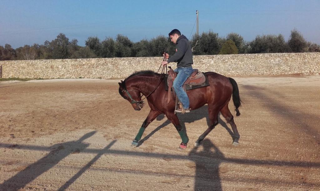 Masseria Sucea マルターノ エクステリア 写真
